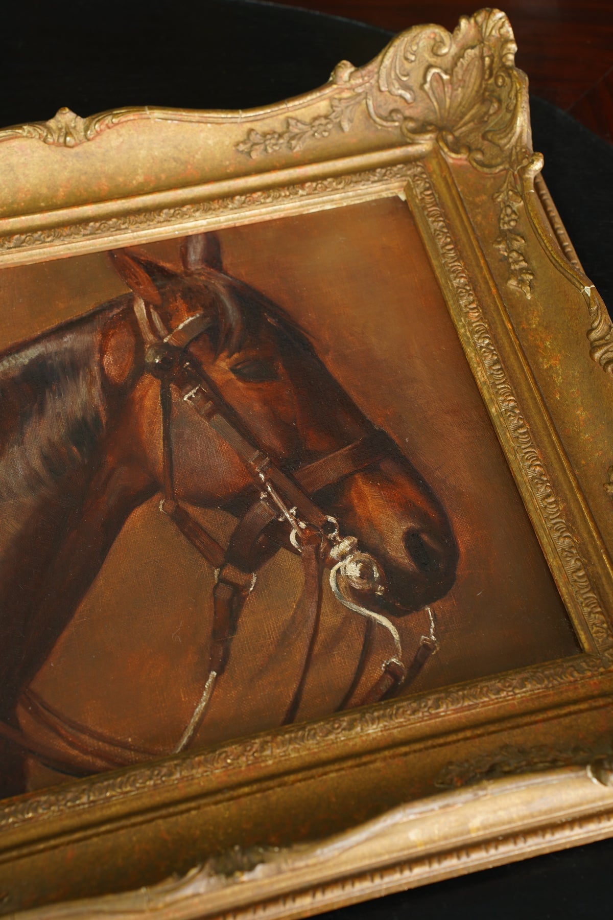Antique Horse Head Oil Painting in Gilt Frame, Circa 1910