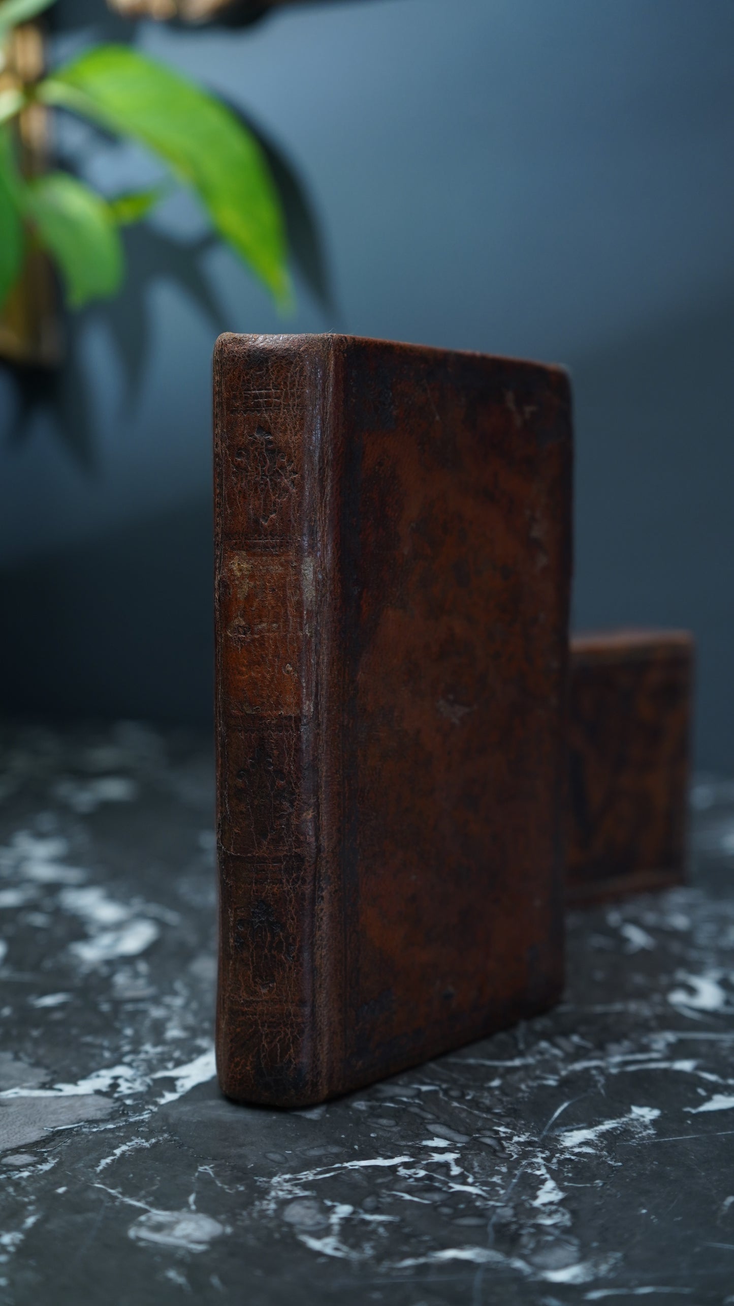1836 "Die Christliche Seele: Ein katholisches Andachtsbuch,"  Full Leather Book