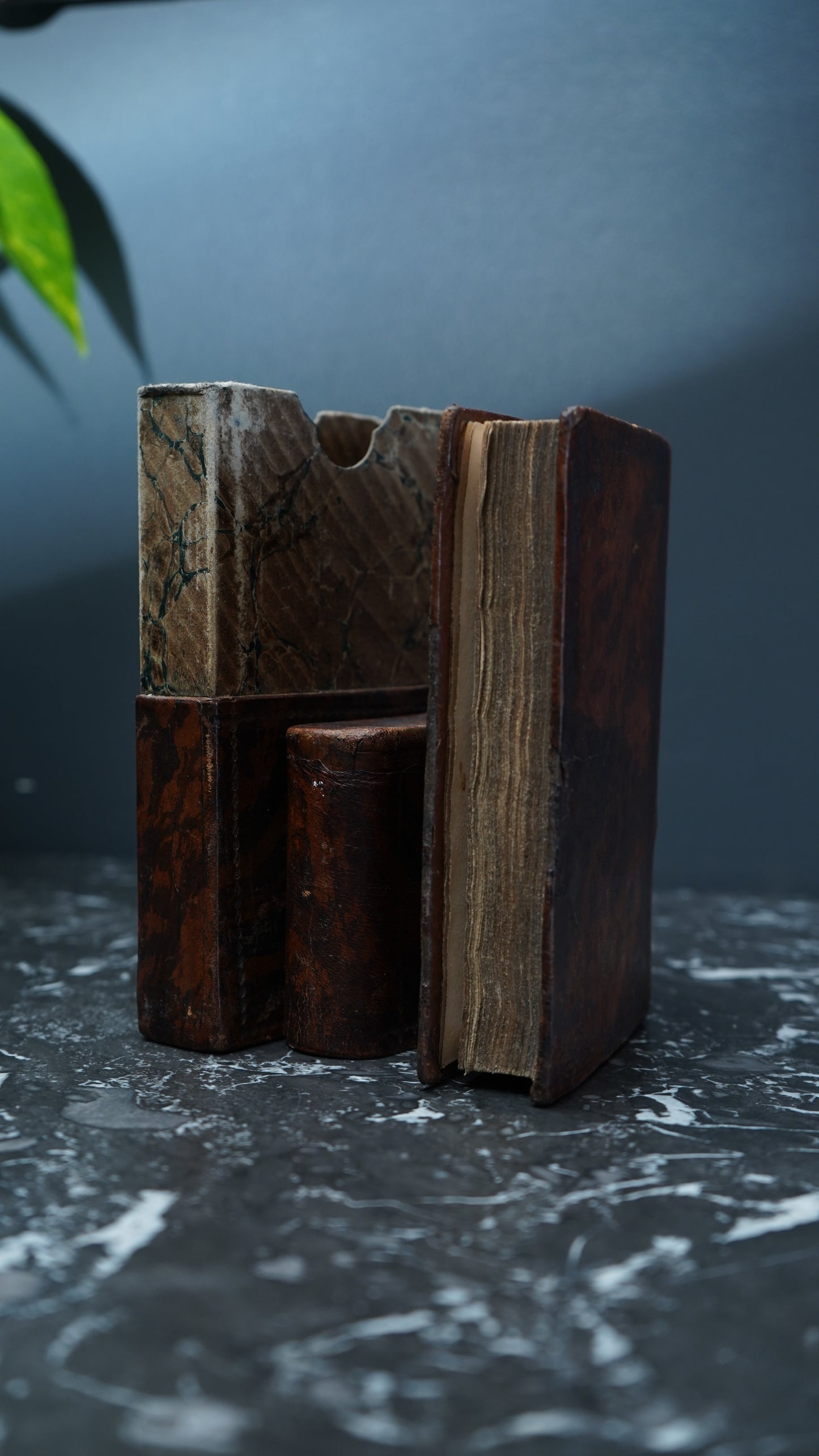 1836 "Die Christliche Seele: Ein katholisches Andachtsbuch,"  Full Leather Book