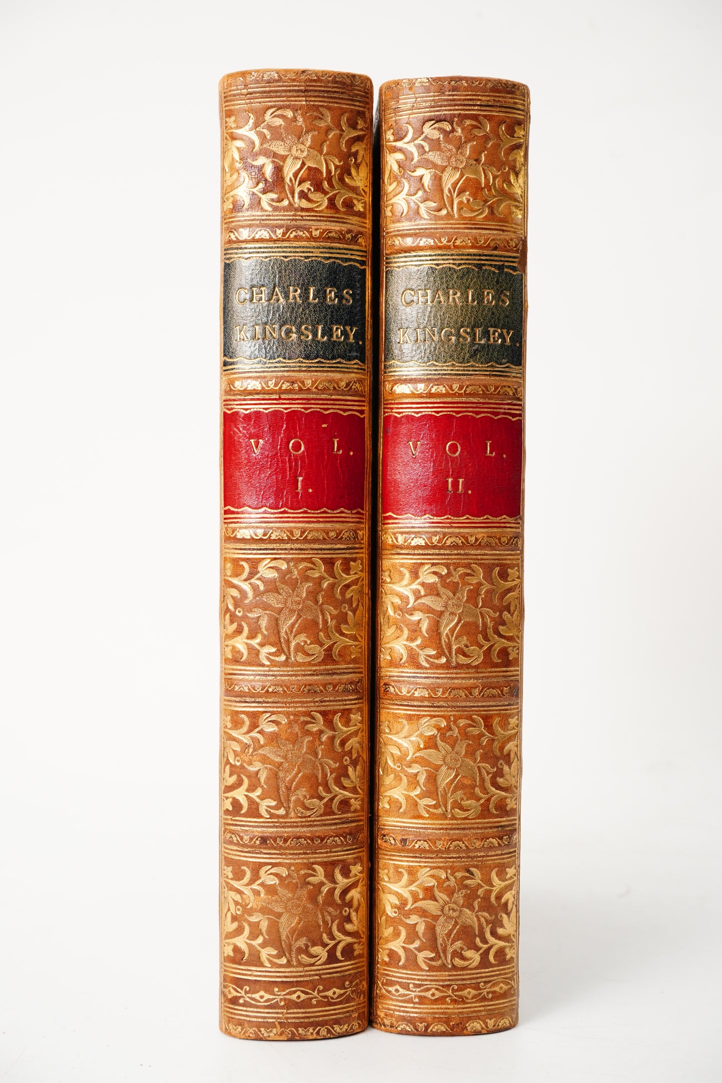 1882 Charles Kingsley Letters Memoirs Prize Binding 2 Vols