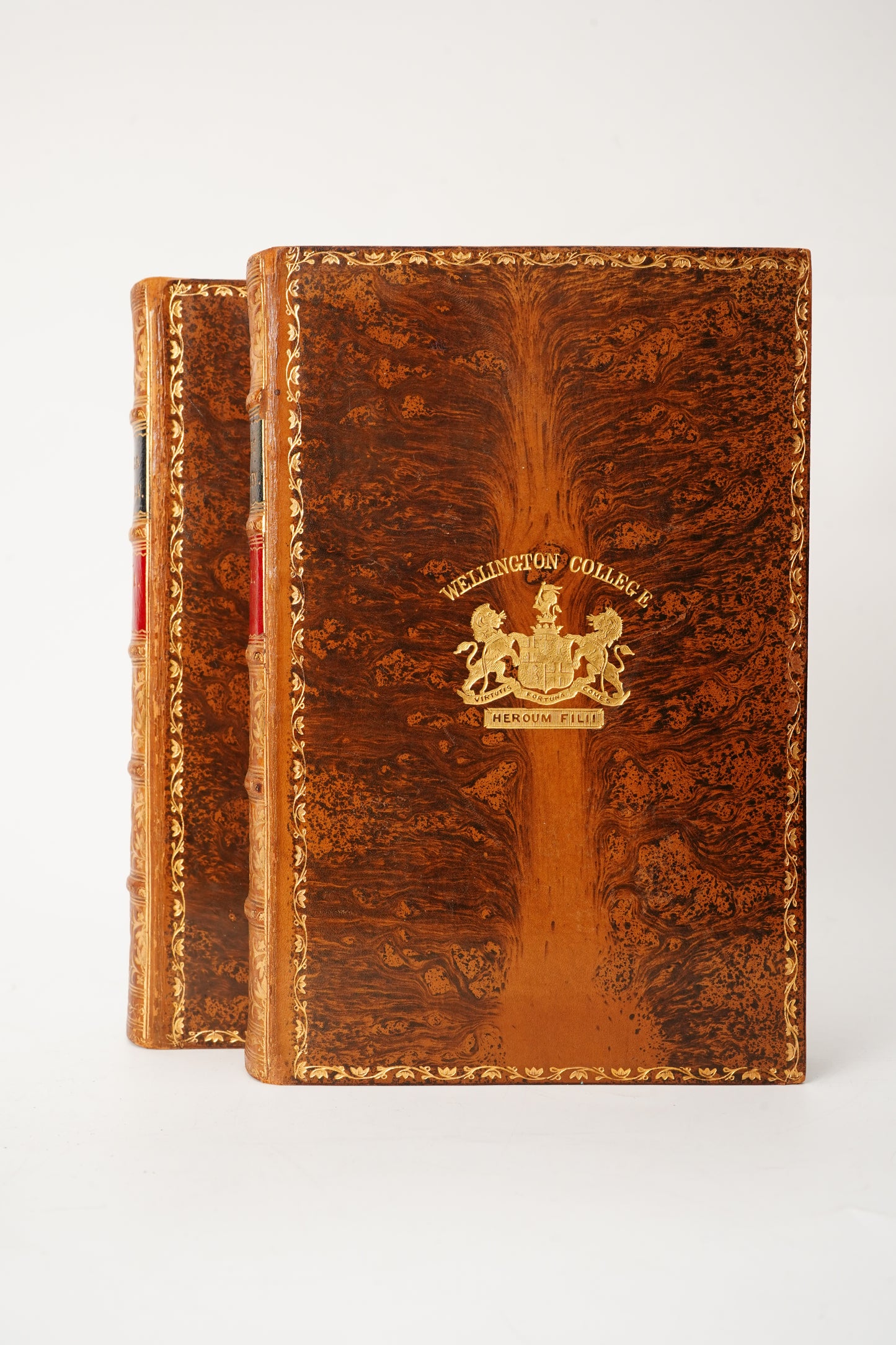 1882 Charles Kingsley Letters Memoirs Prize Binding 2 Vols