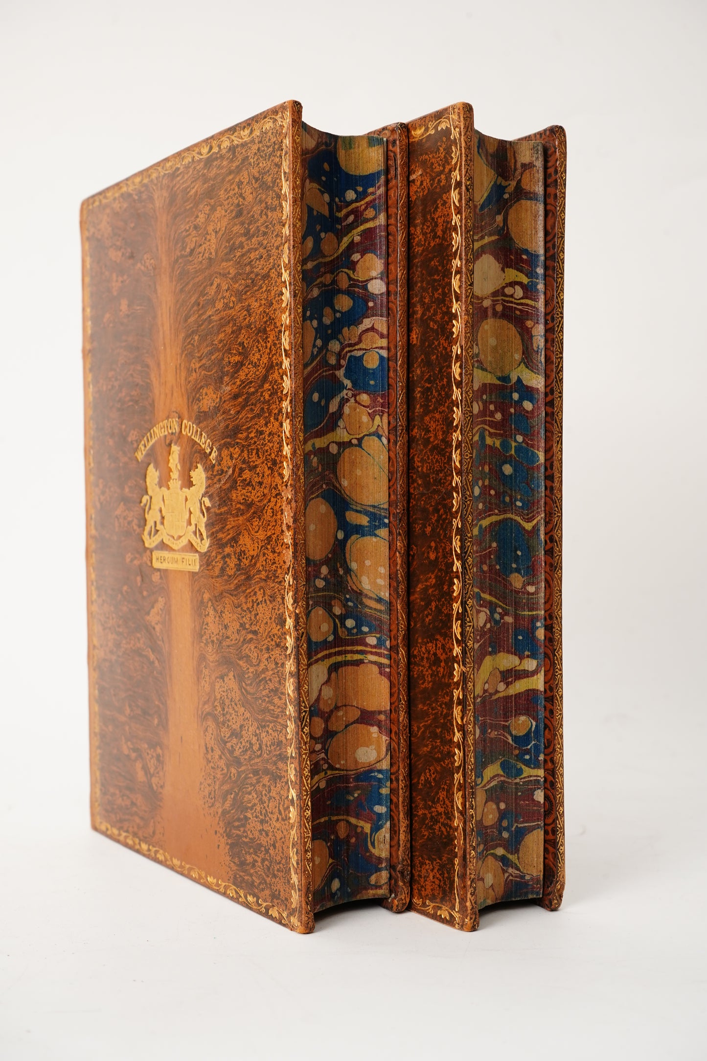 1882 Charles Kingsley Letters Memoirs Prize Binding 2 Vols