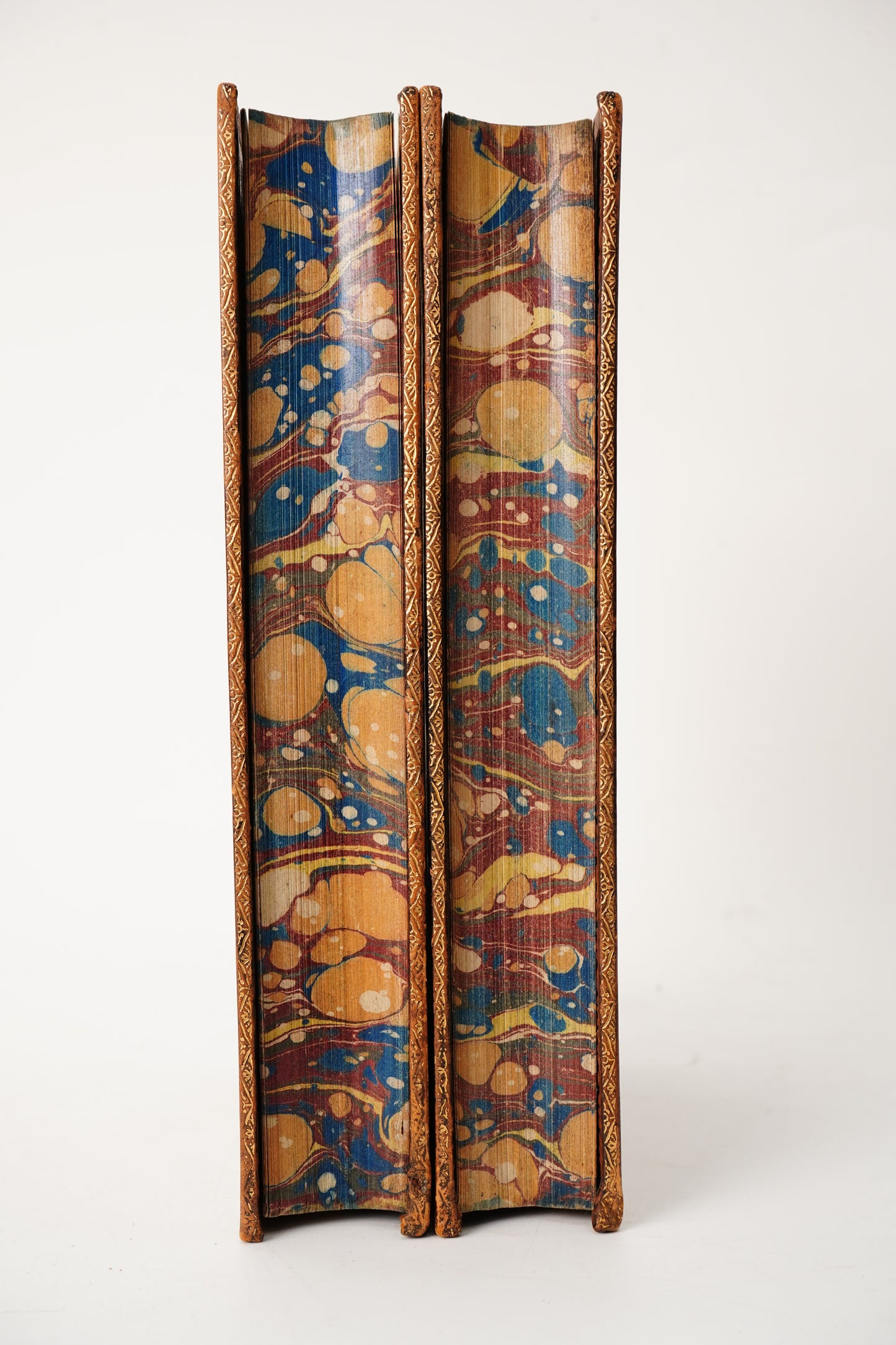 1882 Charles Kingsley Letters Memoirs Prize Binding 2 Vols