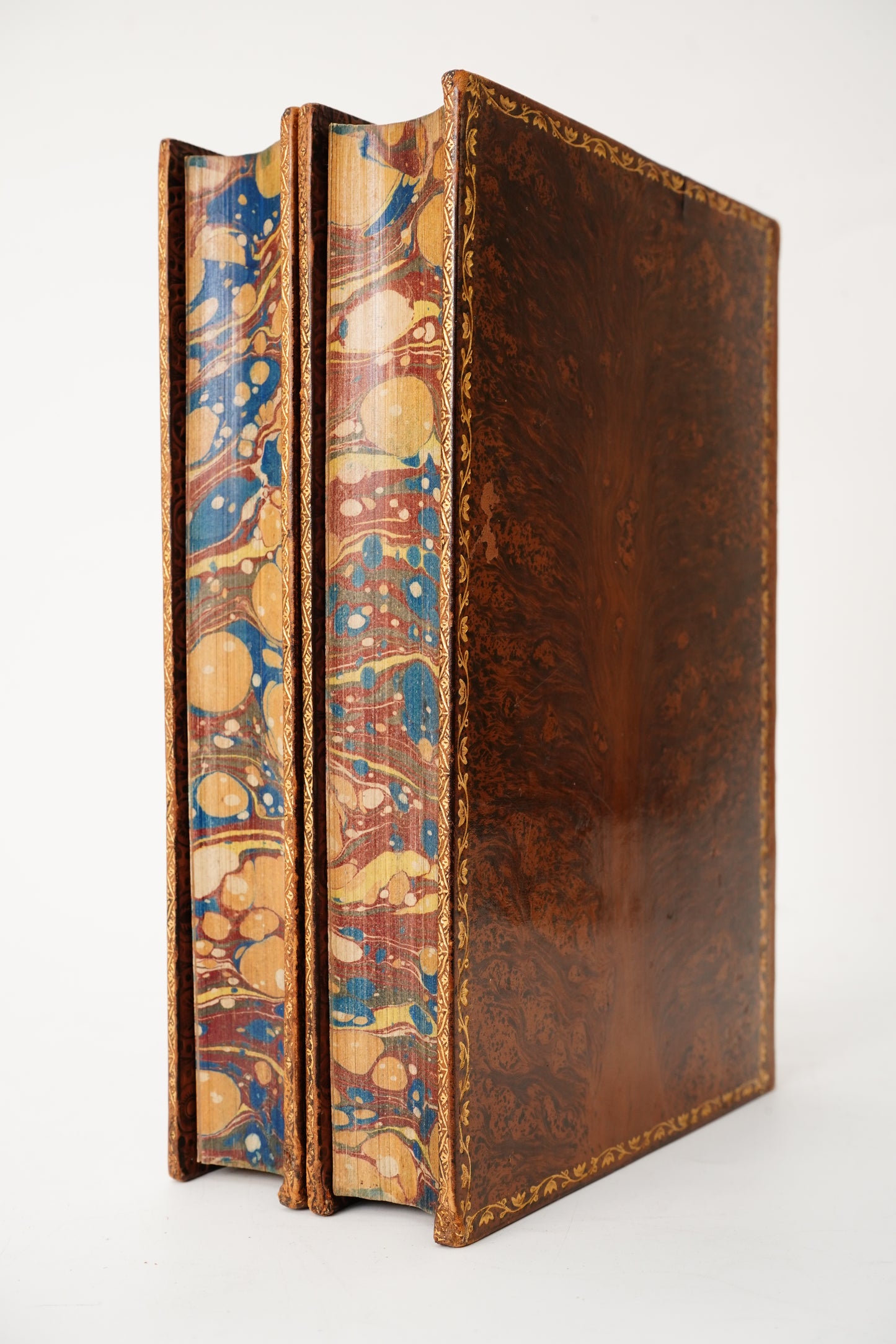 1882 Charles Kingsley Letters Memoirs Prize Binding 2 Vols