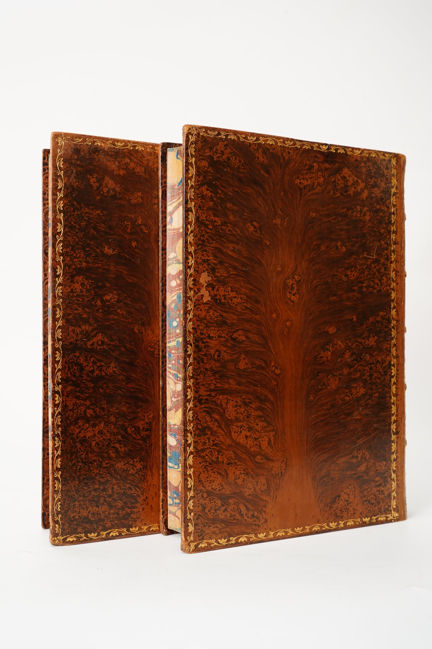 1882 Charles Kingsley Letters Memoirs Prize Binding 2 Vols