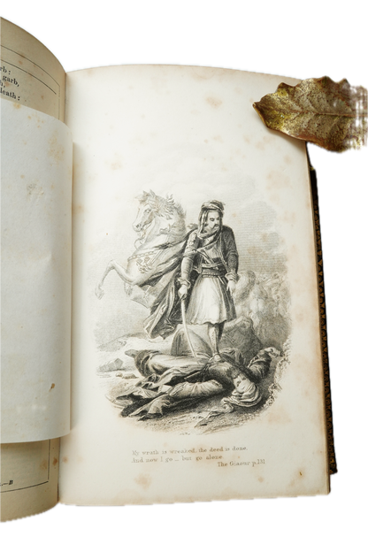 Illustrated Victorian Lord Byron Poetry Book Full Leather