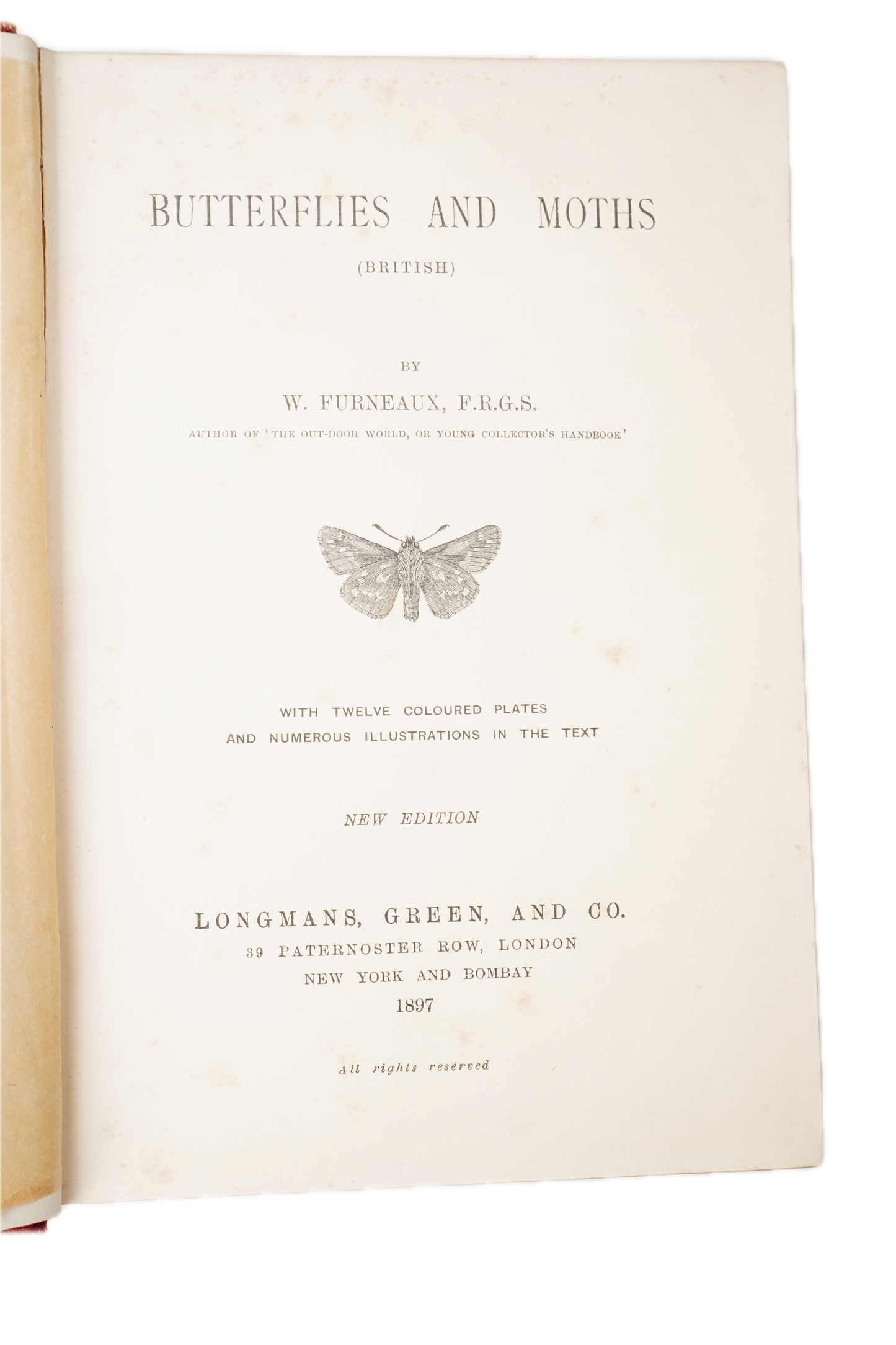 1897 British Butterflies and Moths Natural History Cloth Book