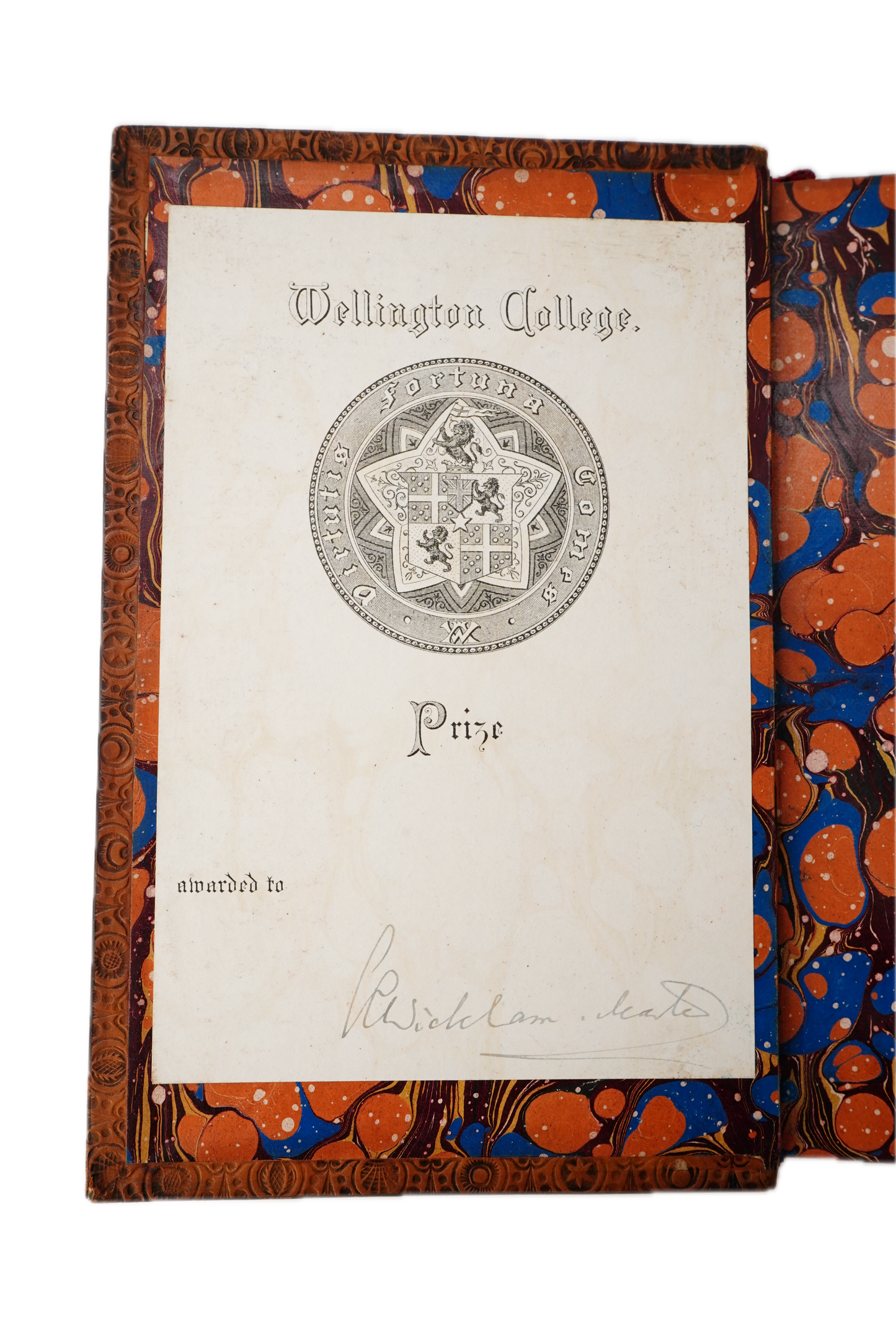 1882 Charles Kingsley Letters Memoirs Prize Binding 2 Vols