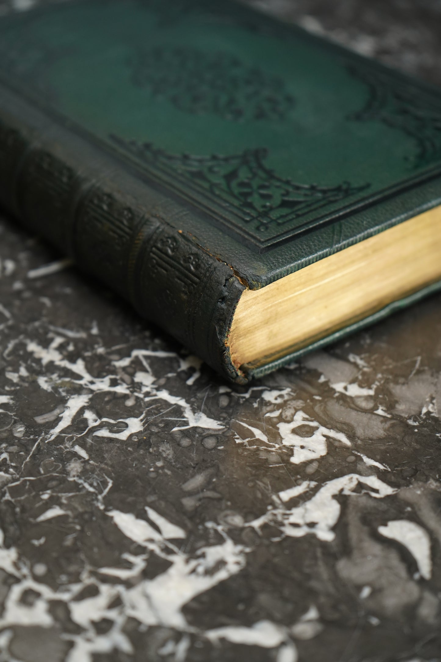 1804 "Marmion" Embossed Green Full Leather Book