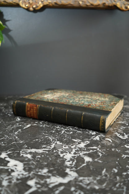 Charles Dickens Oliver Twist & Martin Chuzzlewit Victorian Leather Book