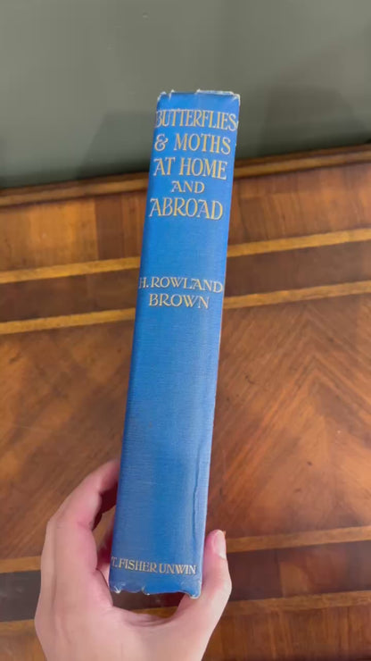 1912 H. Rowland Brown Butterflies and Moths at Home and Abroad