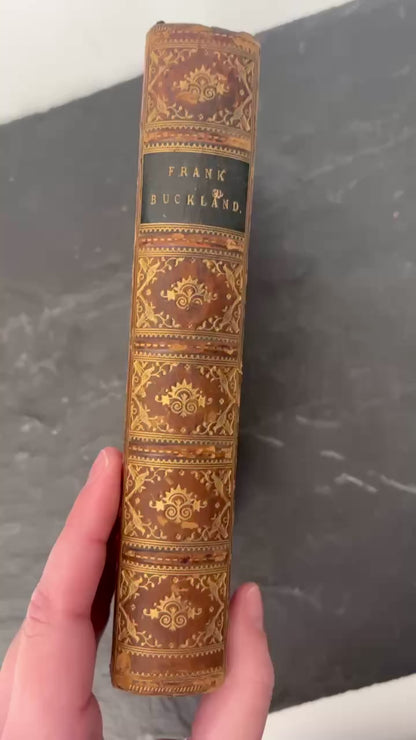 1887 Frank Buckland Biography Full Leather