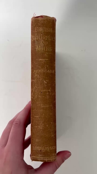 1897 British Butterflies and Moths Natural History Cloth Book
