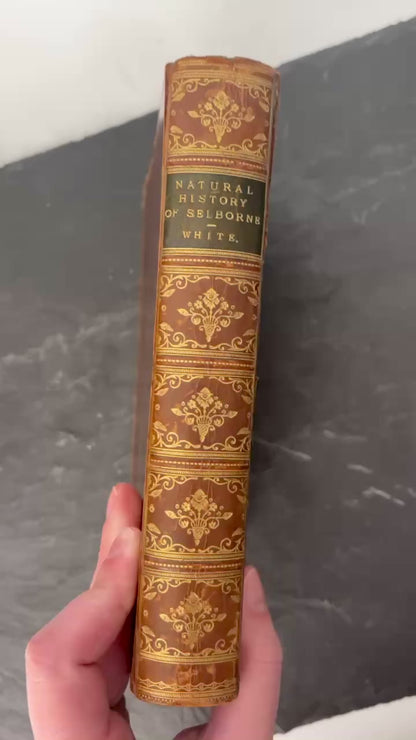1883 Natural History and Antiquities of Selborne
